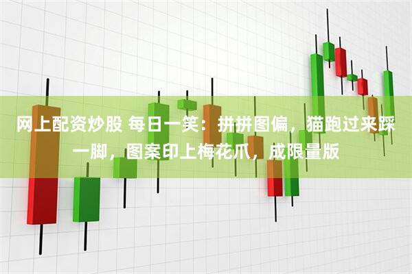 网上配资炒股 每日一笑：拼拼图偏，猫跑过来踩一脚，图案印上梅花爪，成限量版