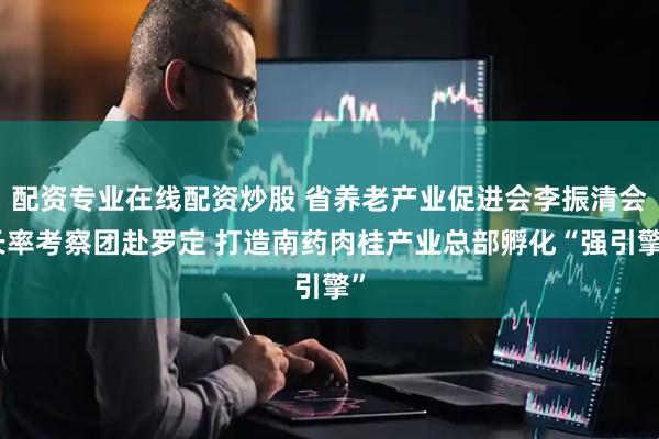 配资专业在线配资炒股 省养老产业促进会李振清会长率考察团赴罗定 打造南药肉桂产业总部孵化“强引擎”