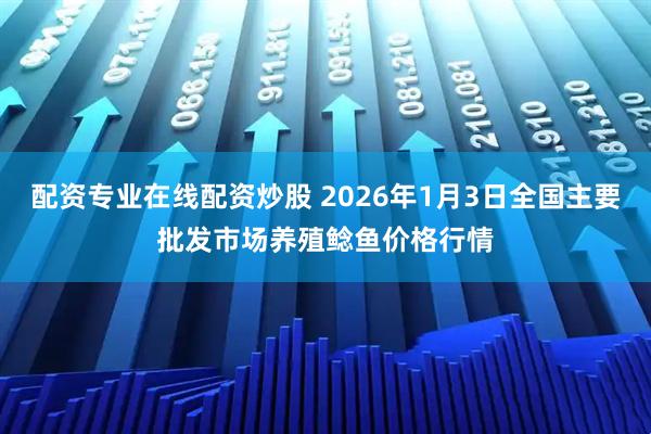 配资专业在线配资炒股 2026年1月3日全国主要批发市场养殖鲶鱼价格行情